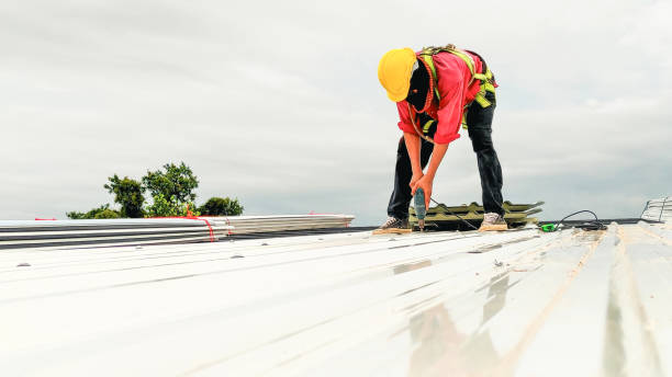 Best Roof Moss and Algae Removal  in Spring Creek, NV